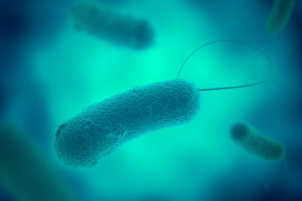 Legionella eist steeds meer mensenlevens